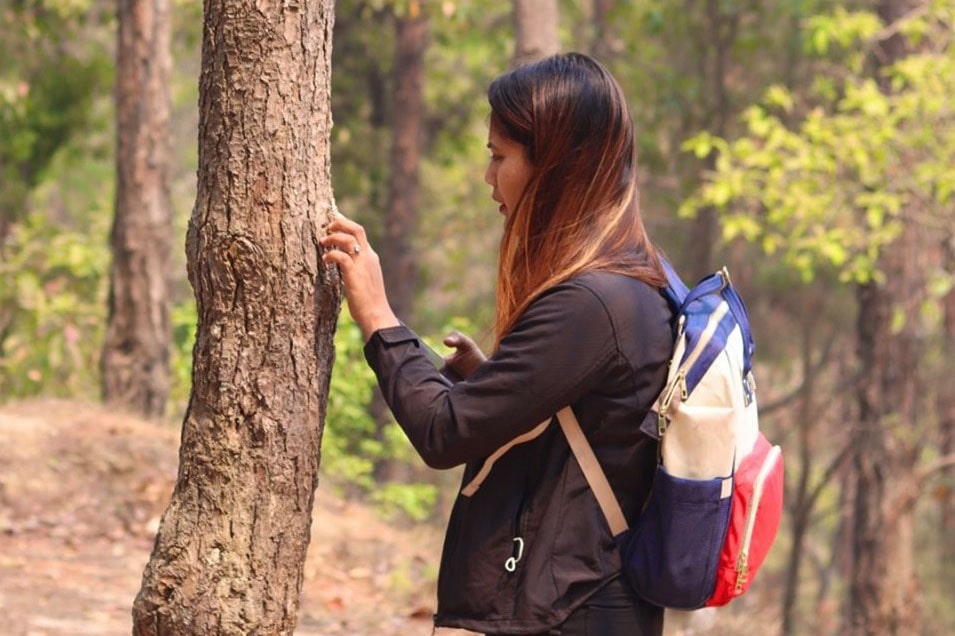 You are currently viewing Division Forest Office, Kathmandu
