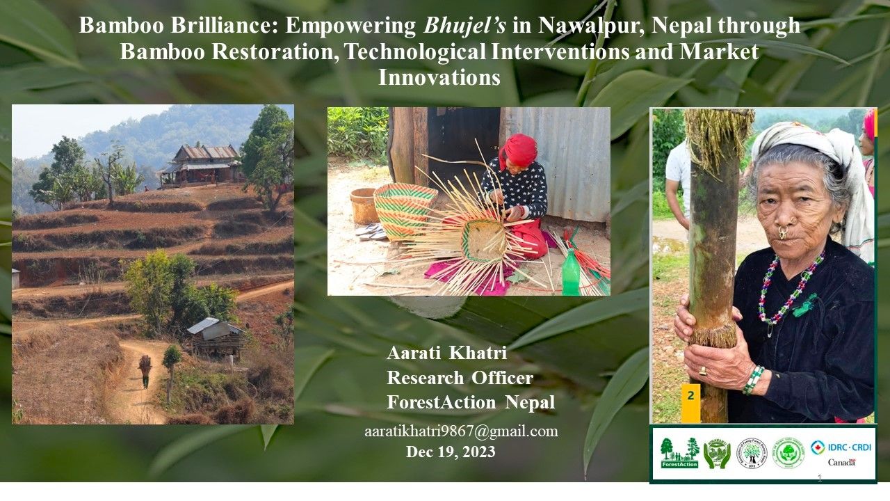 You are currently viewing International Young Scientist Forum for Climate Change, Organized by International Center for Bamboo and Rattan (ICBR),University of British Columbia