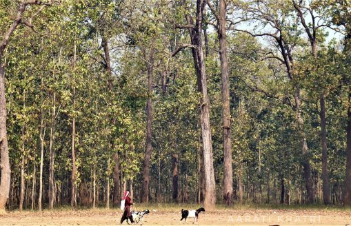 Women in the Wild, A lifeline from the Forests of Nawalpur, Nepal