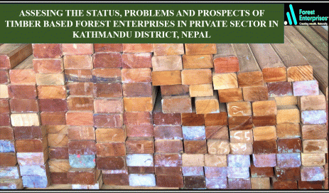 Assessing the status, problems and prospects of timber-based forest enterprises in the private sector in Kathmandu district, Nepal