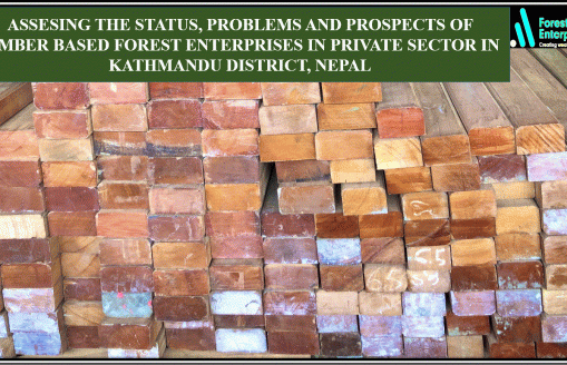 Assessing the status, problems and prospects of timber-based forest enterprises in the private sector in Kathmandu district, Nepal