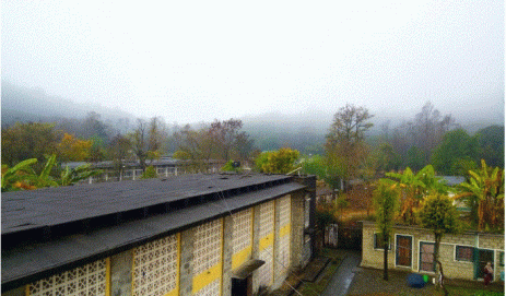 My college, My pride: From an eye of an Undergraduate of the Institute of Forestry, Pokhara.