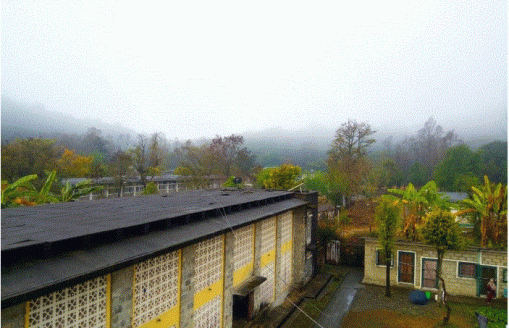 My college, My pride: From an eye of an Undergraduate of the Institute of Forestry, Pokhara.