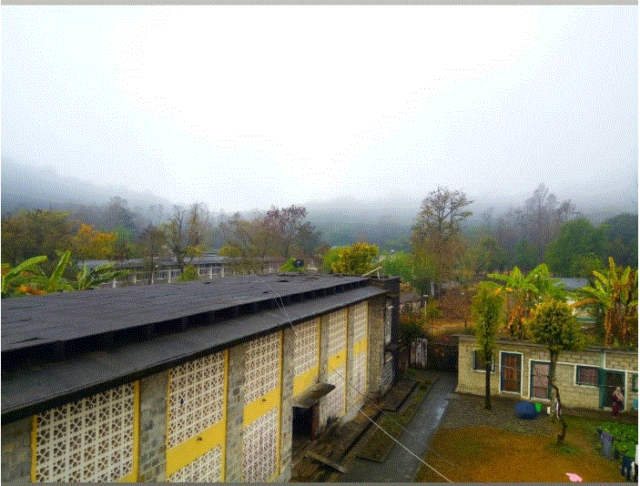 You are currently viewing My college, My pride: From an eye of an Undergraduate of the Institute of Forestry, Pokhara.