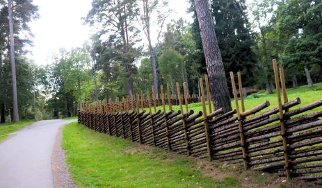 Biofencing in Sweden: A sustainable, natural alternative to wire fences