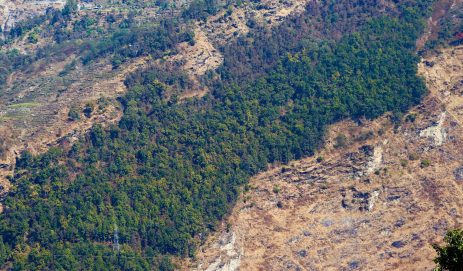 My Photo, My Perspective