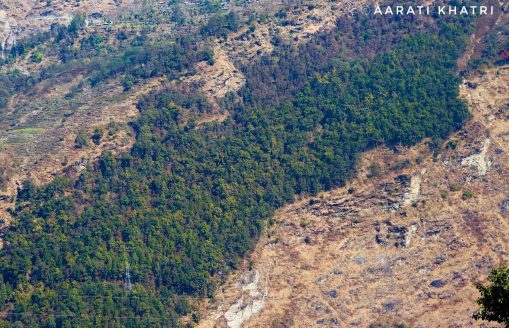 My Photo, My Perspective