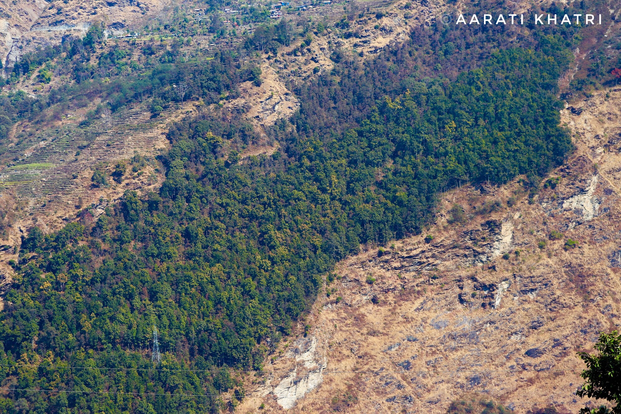 You are currently viewing My Photo, My Perspective