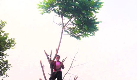 Women’s Silent Struggles for Fodder, Reaching New Heights Everyday.