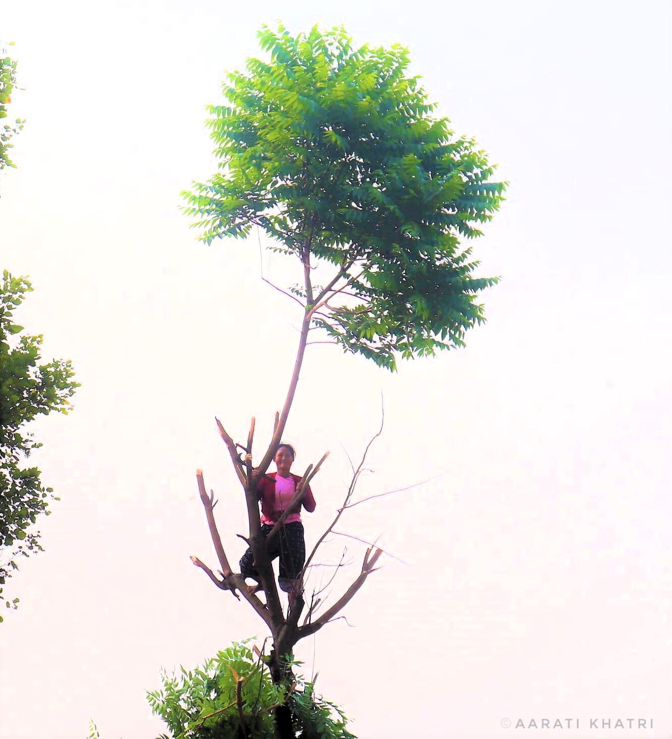 You are currently viewing Women’s Silent Struggles for Fodder, Reaching New Heights Everyday.