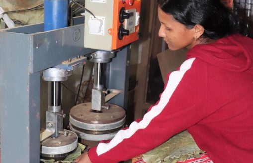 Not Seeing the Wood For The Trees / The Annapurna Express.