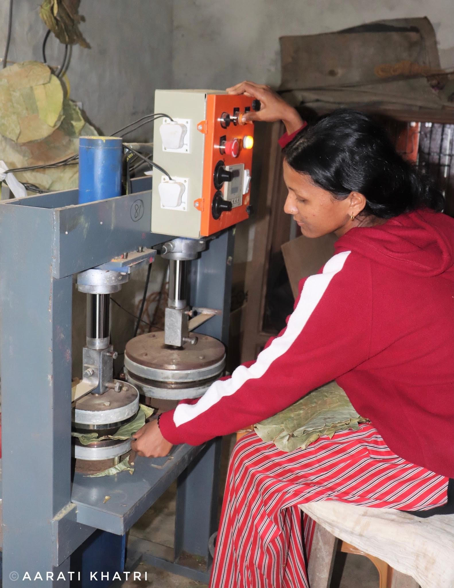 You are currently viewing Not Seeing the Wood For The Trees / The Annapurna Express.